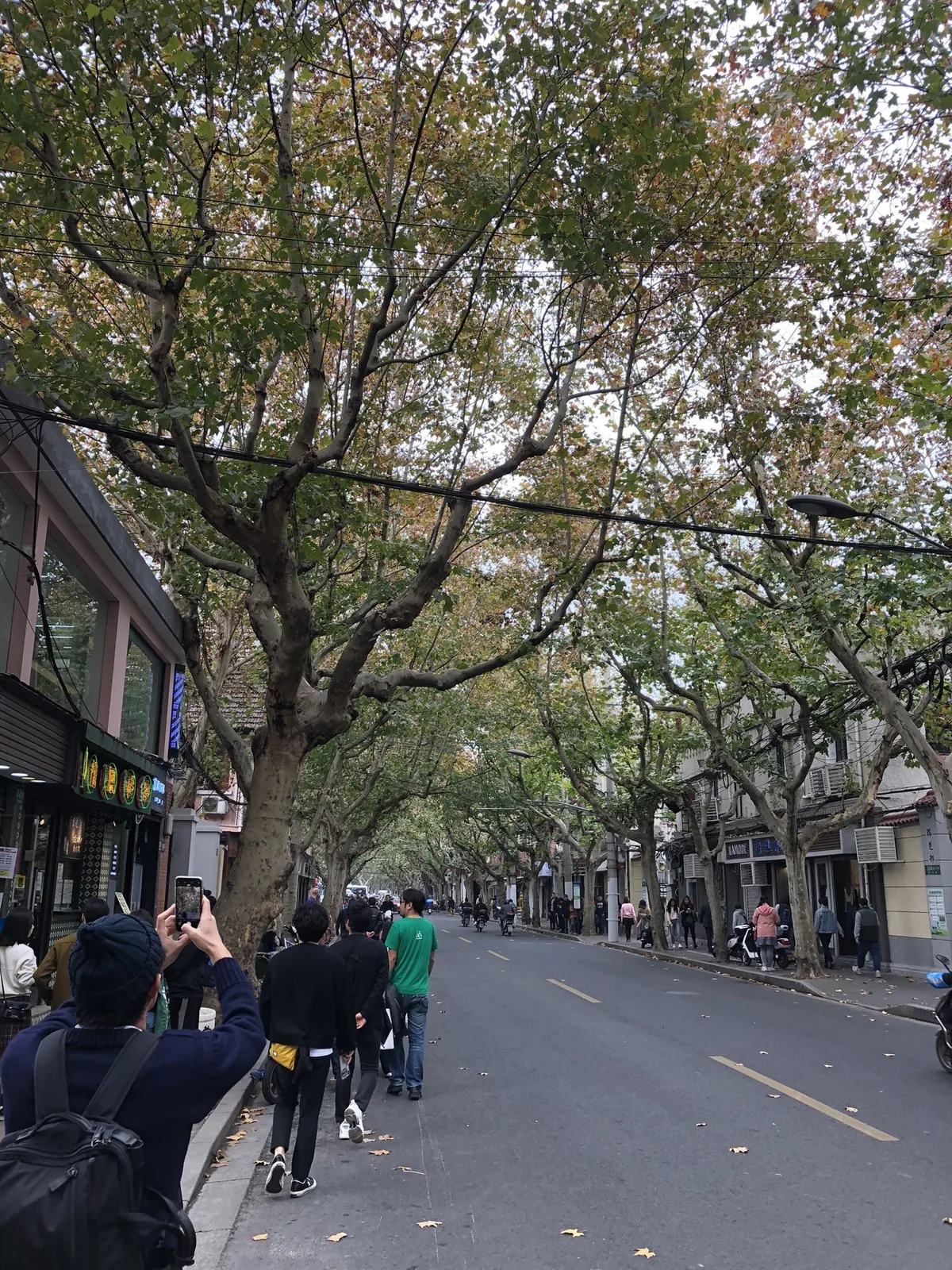画像18